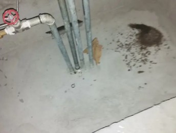 筠连卫生间测漏水价格明细